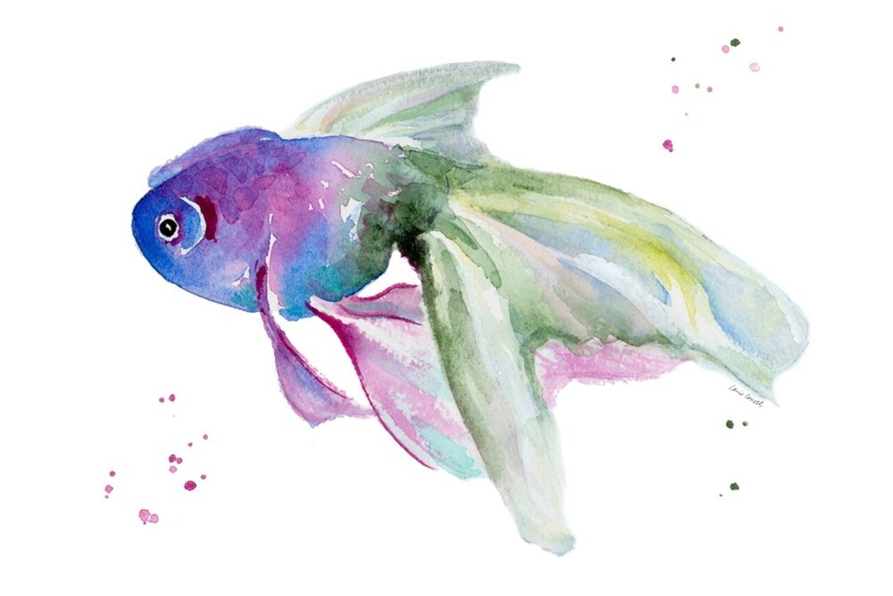 Aquarium Life III Poster Print by Lanie Loreth - Item # VARPDX13423B